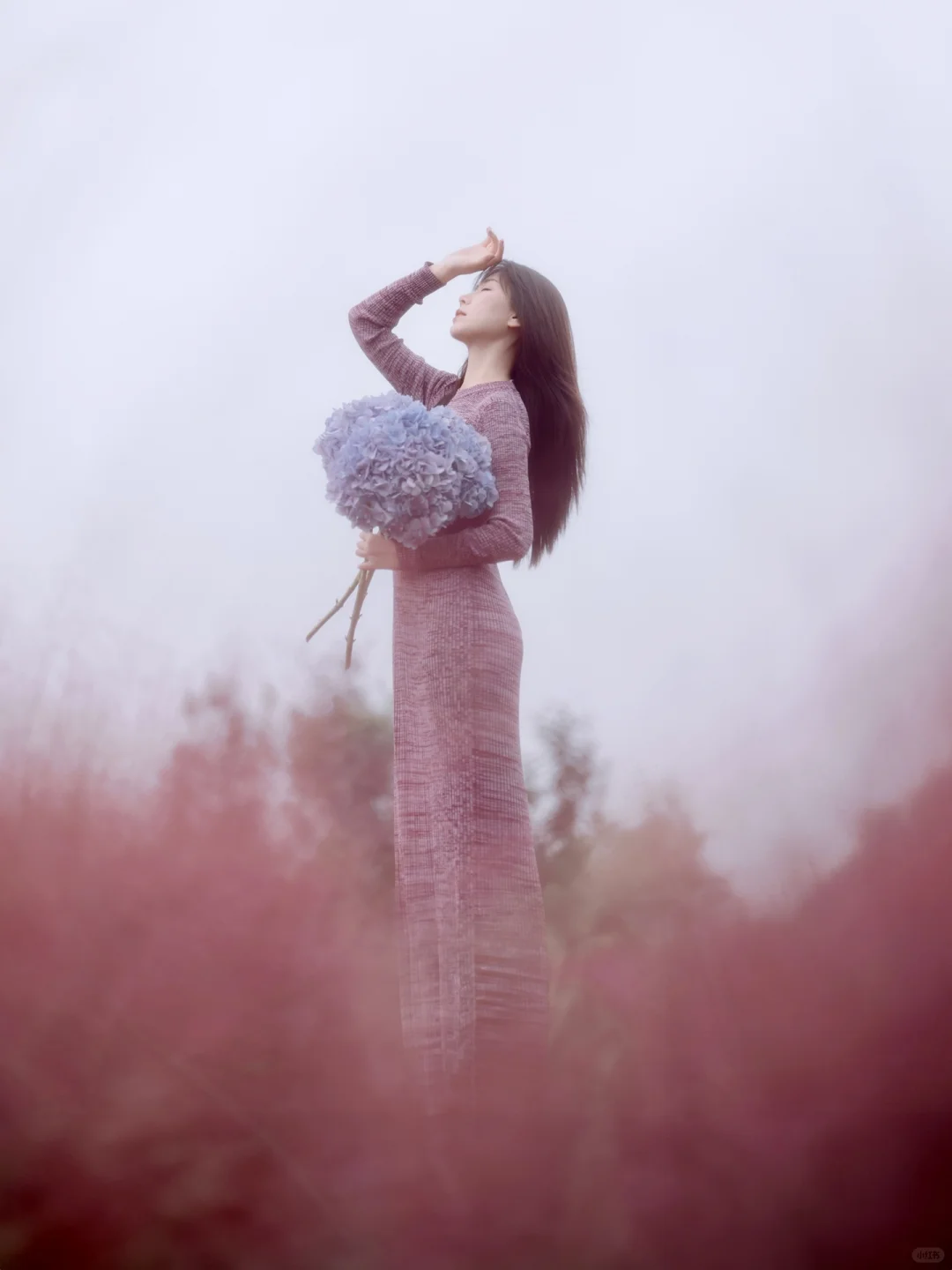 粉黛子拍照告别奥森北园一亿人来这吧📷