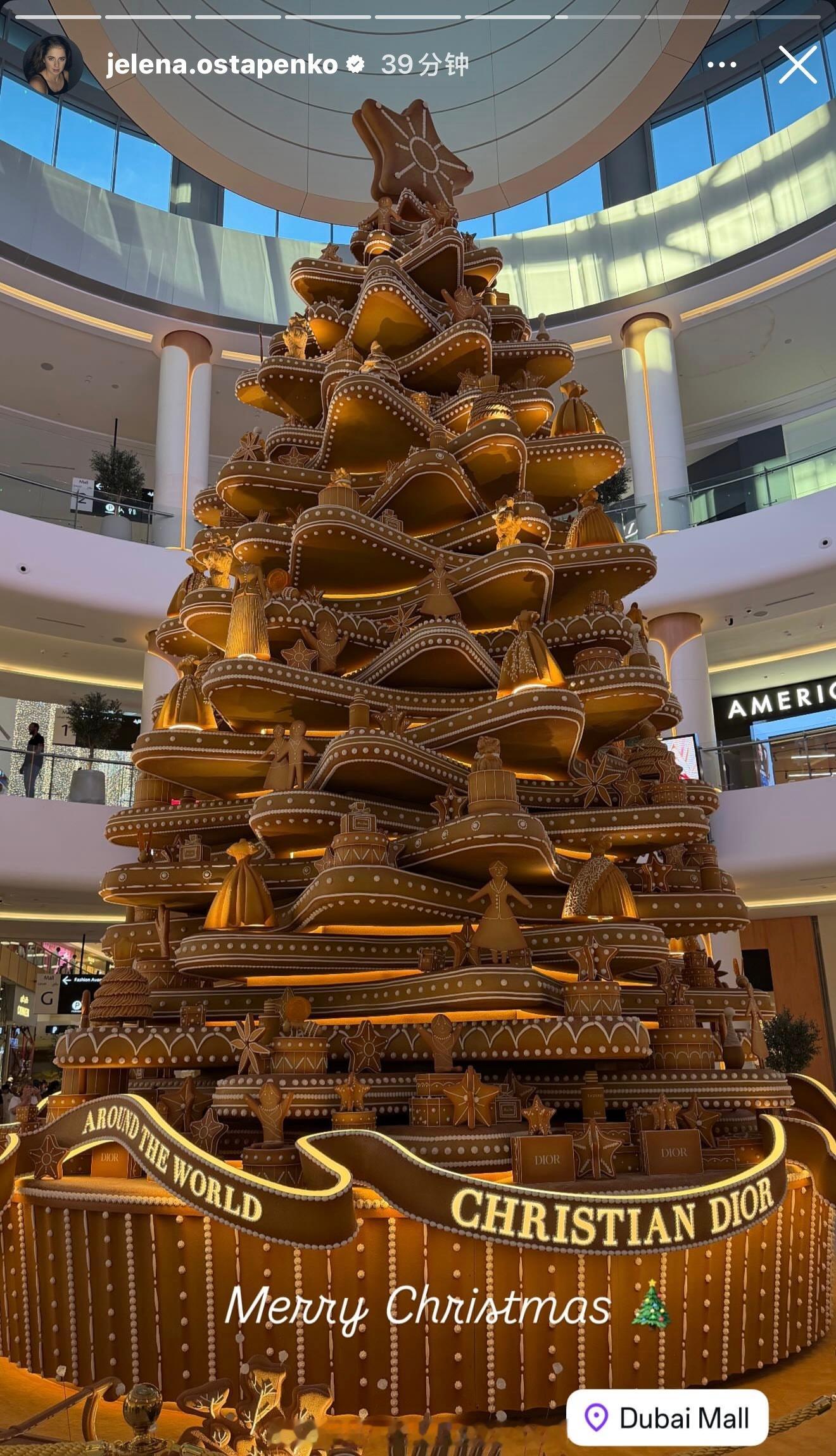 奥斯塔彭科圣诞节吃大餐。 