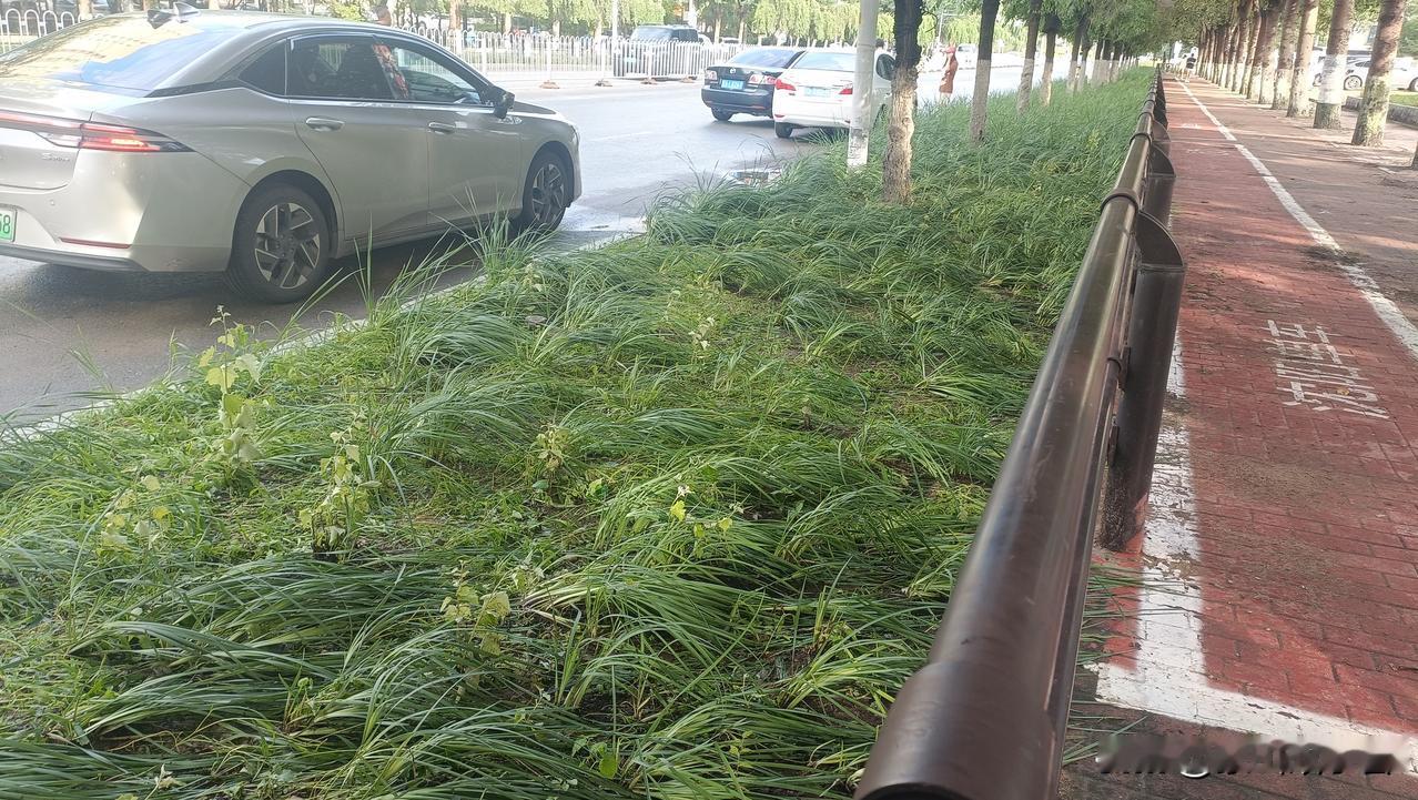 沈阳终于雨过天晴啦！受台风巴威外围环流影响，沈阳连着两天的瓢泼大雨，大部分路段都