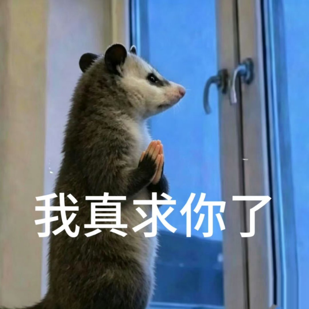 还好因为浪姐有🥭会员可以奔赴yy，三线在窝🐧还没有过期之前快快来可以吗
