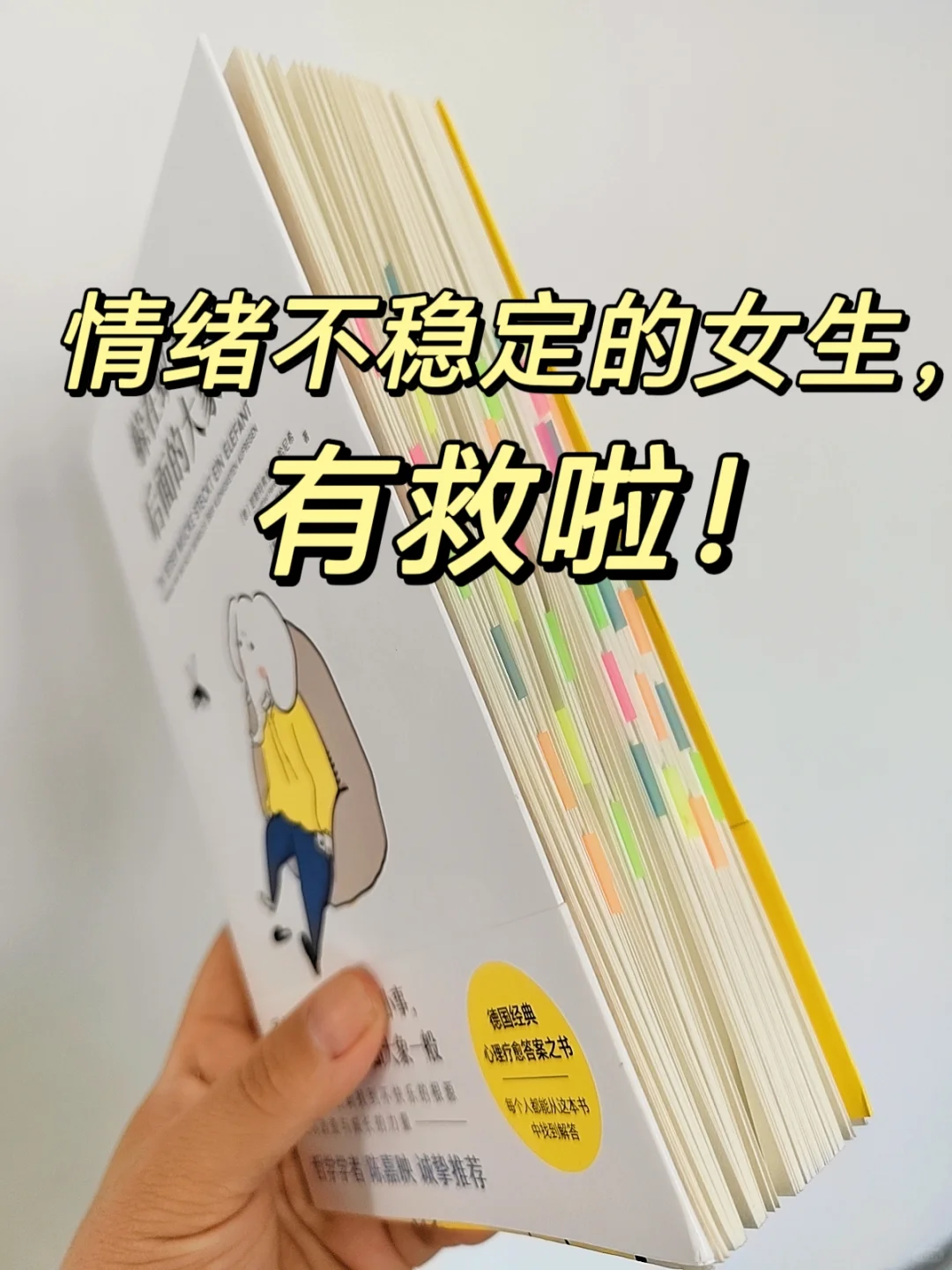 不愧是董宇辉反复推荐❗治好了我的情绪内耗