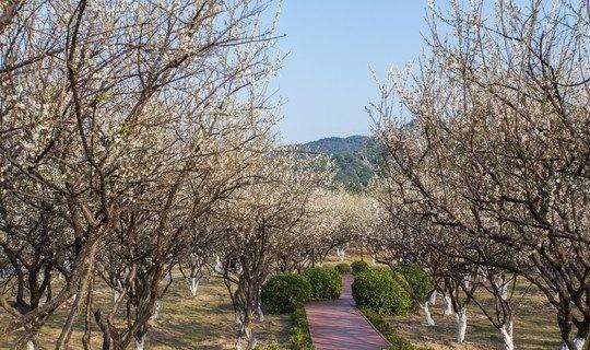 古塔春樱打卡圣地🌸
📍太原 格雅酒店(太原南站白求恩医院店)
太原玉泉山｜樱