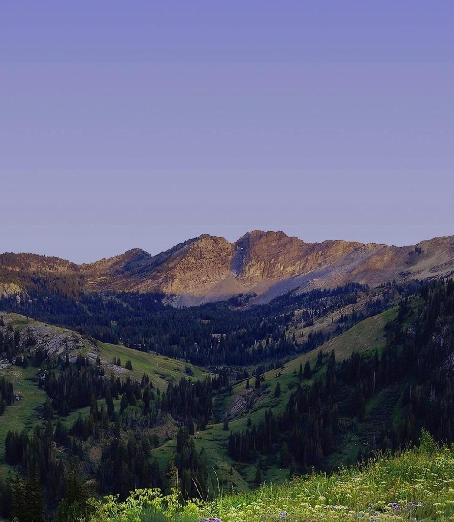树怕摇，女怕撩，鸡怕撵。女人被男人撩拨情绪难以平复，嘴里说着不要身体却很实诚
