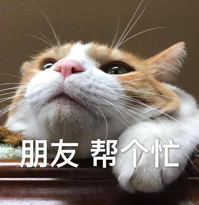 我家里有个老牌子的立式空调，之前移机过一次后，制冷就一直不太好，应该是需要加制冷