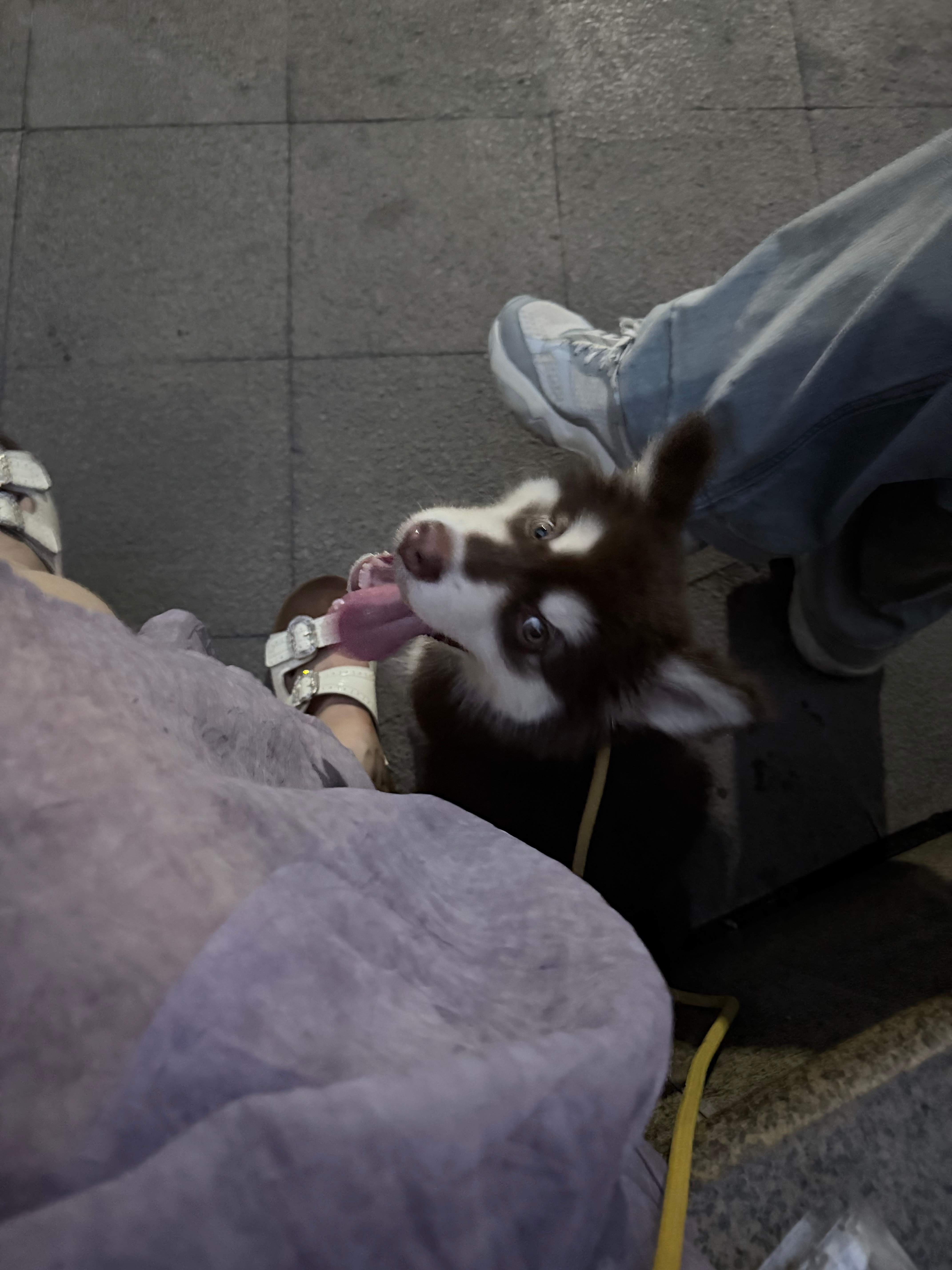 玛卡巴卡 漯河·永信·伯爵山