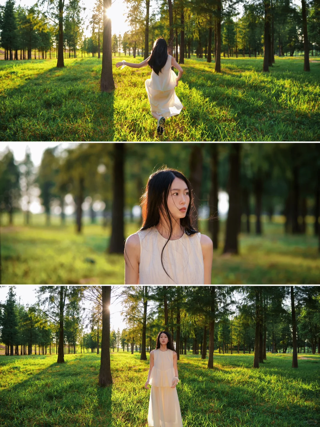 这个近广佛地铁的草原暮光森林🌇太美了吧‼️