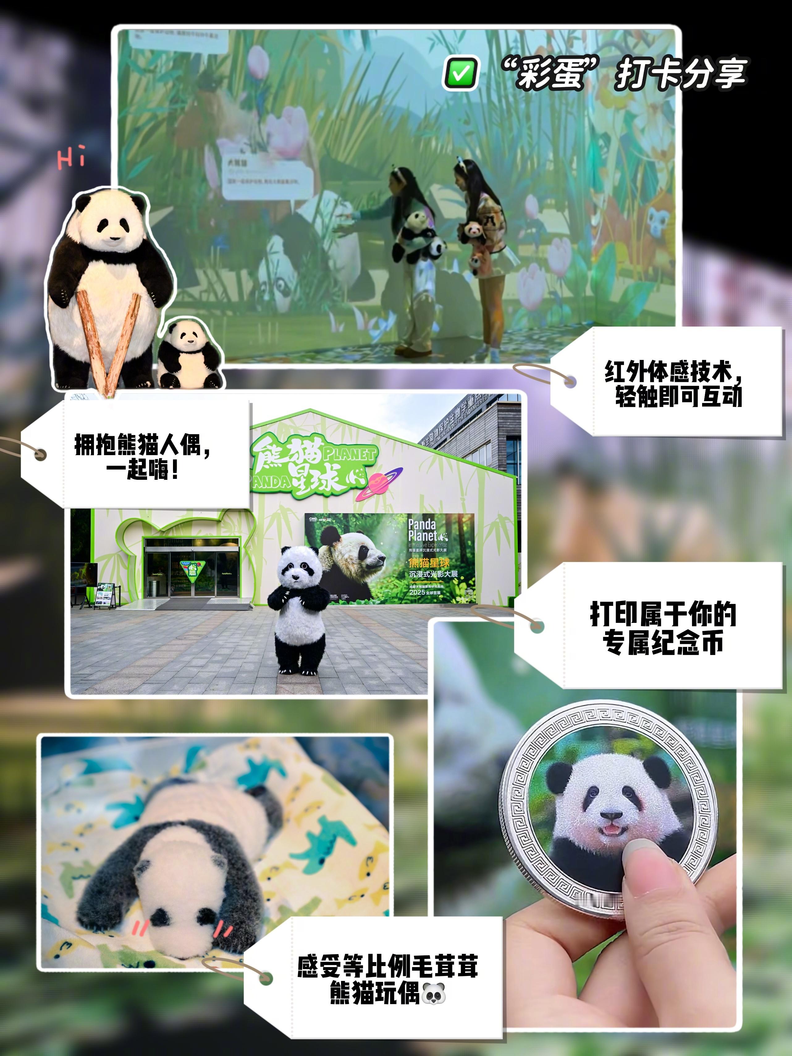想知道“熊猫星球”里有什么吗？👇🏻“彩蛋”请查收，两脚兽们快来混进“国宝圈”