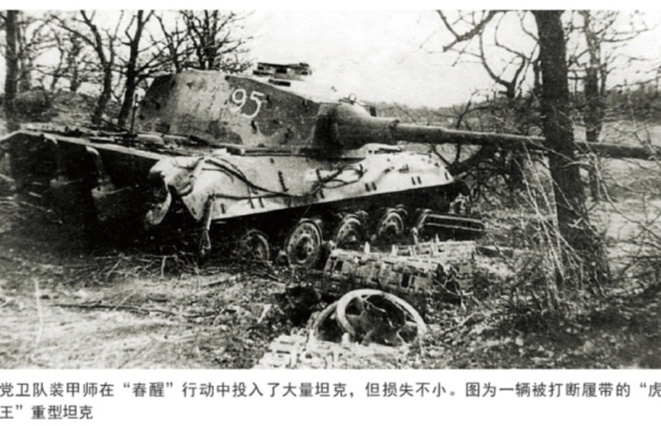 从“南风”到“春醒” －德国坦克的最后一击③”得”还是“失”？ 20日天黑后，“