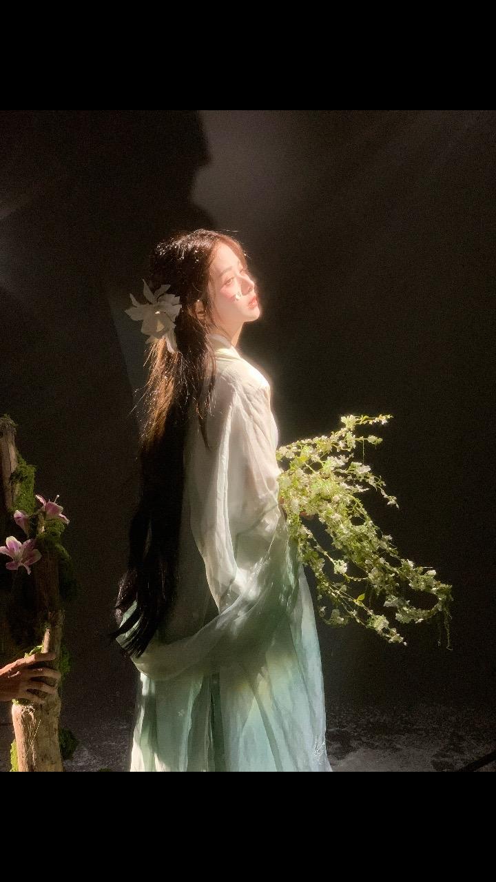 枯木逢春