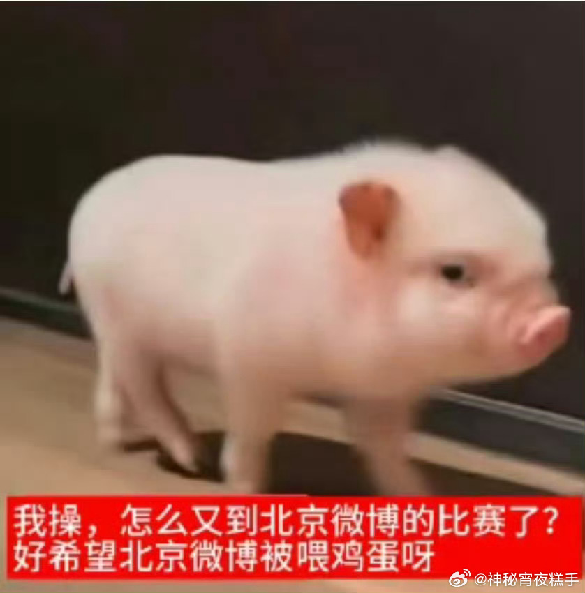 分享图片 