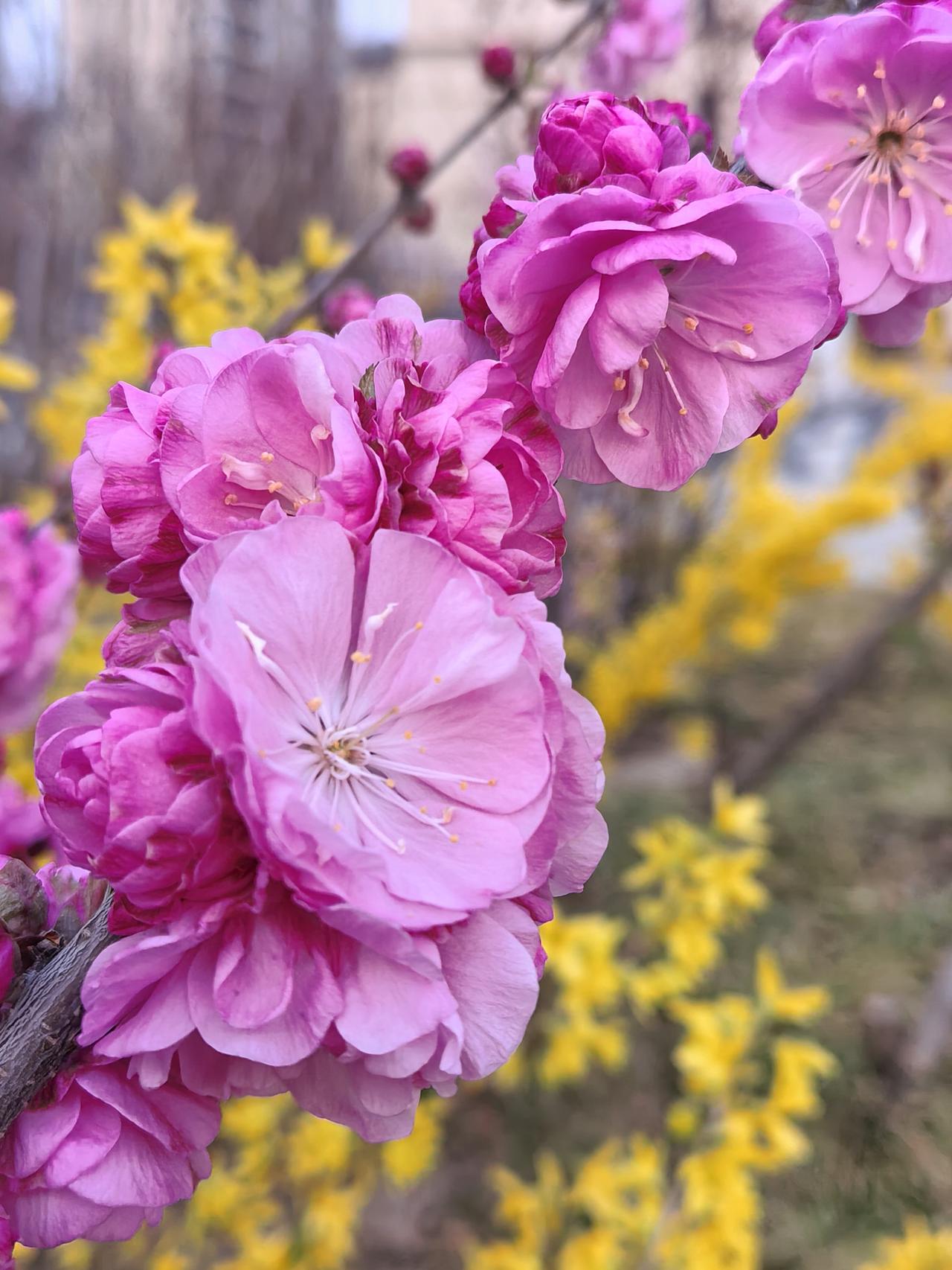 昨天办电话卡，拿身份证又签字又拍照，小女生说“哥，你✘✘年的，看着一点不像，真年