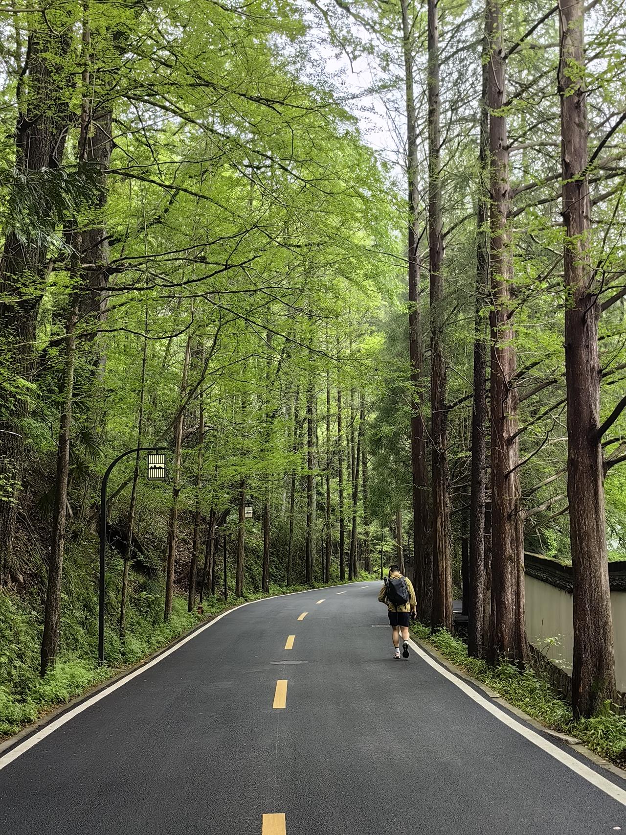 今日你进行低吸操作了吗？
开盘前我便预测今日股市会低开，而低开实则为空仓者提供了