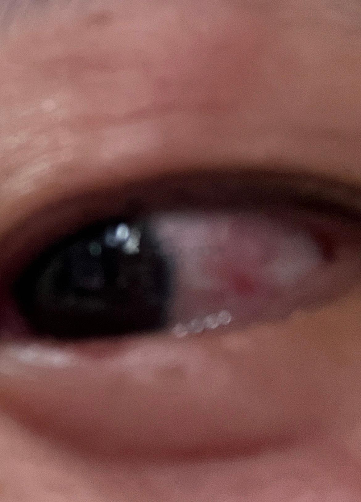 倒霉熊不是停播了吗为什么今天这么倒霉，为什么三开三败，为什么06分的回流票刷到了