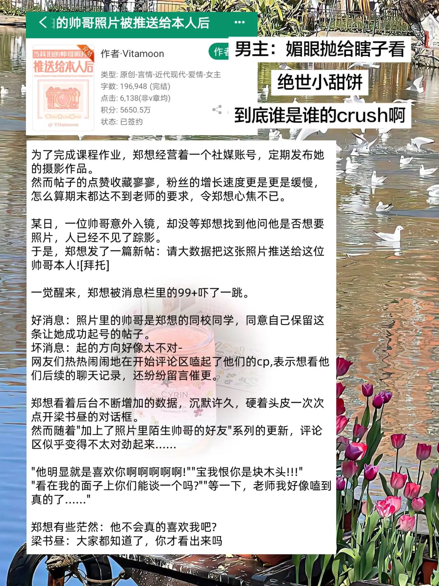 男主：老婆不开窍怎么办？全世界都看出来我喜欢她了
