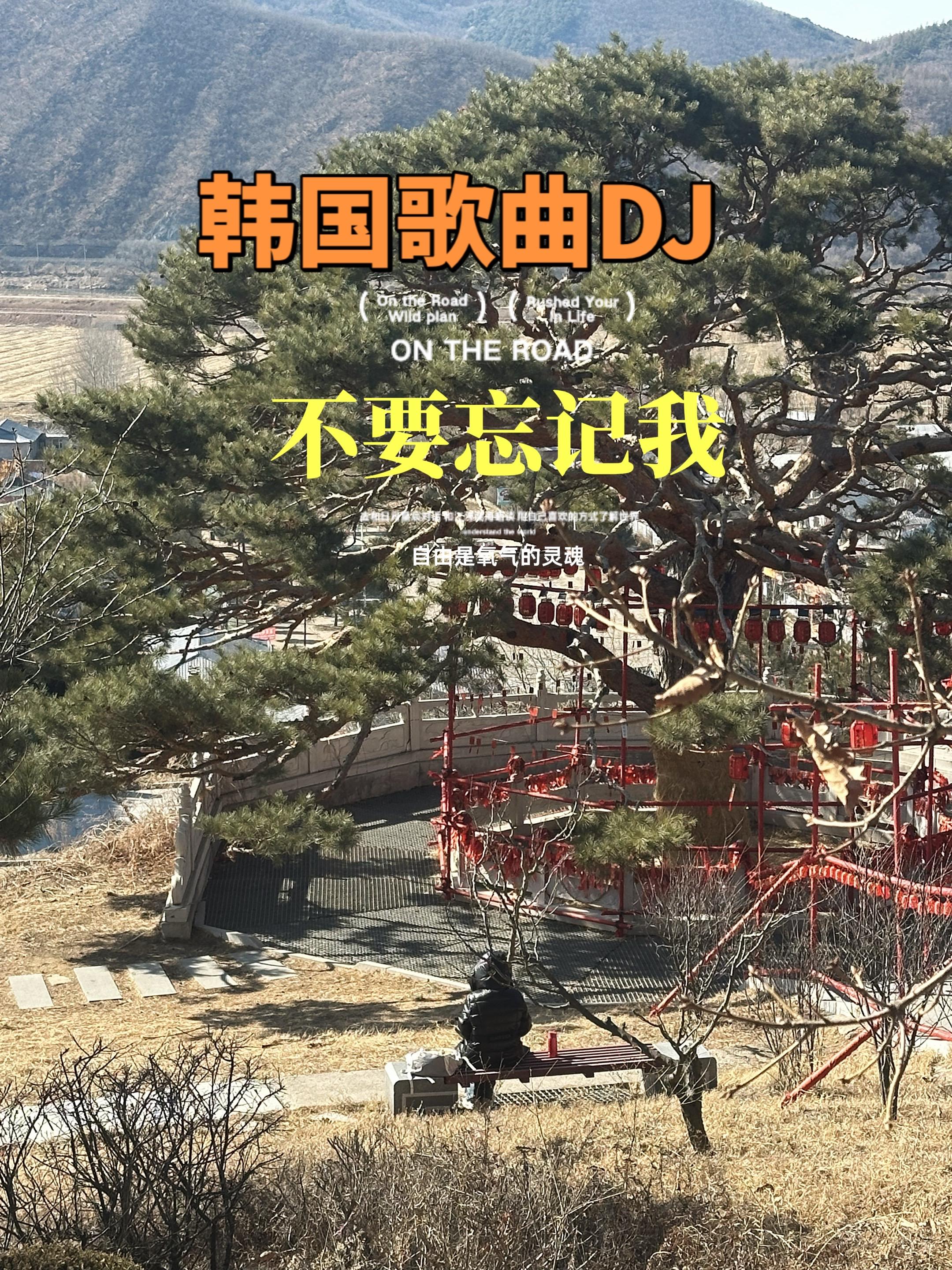 韩国歌曲 记录家乡美景 大山里的原生态 创作人计划