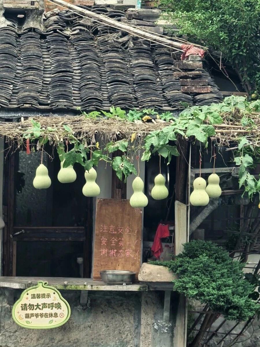 葫芦爷爷又把葫芦挂上去了，至于为啥挂上去，老人说：“看到每天很多人来看葫芦，结果