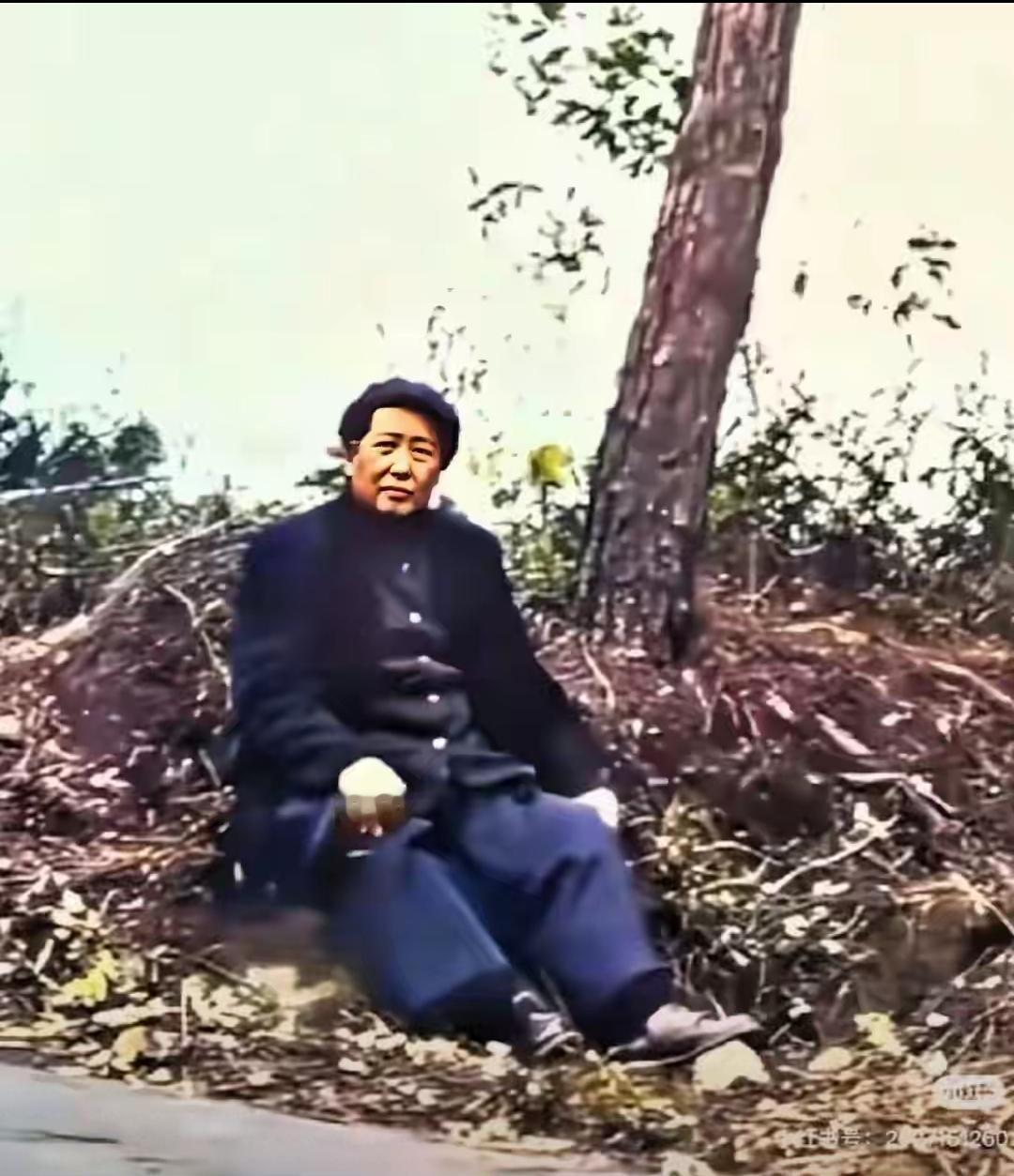 人民领袖深入基层视察工作，途中劳累路边席地而坐，不辞劳苦心系百姓，真是人民的好公