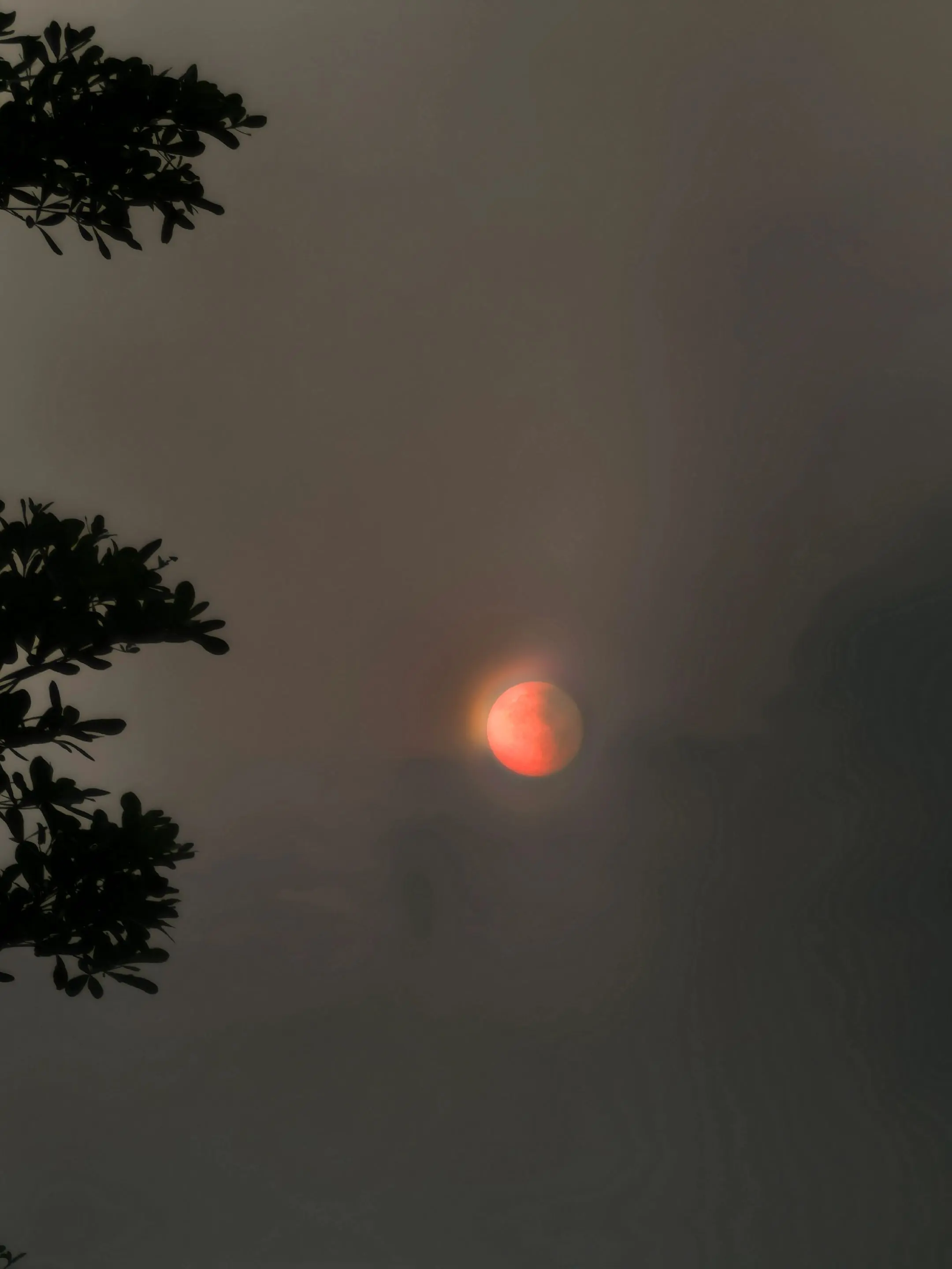 最美夕阳红