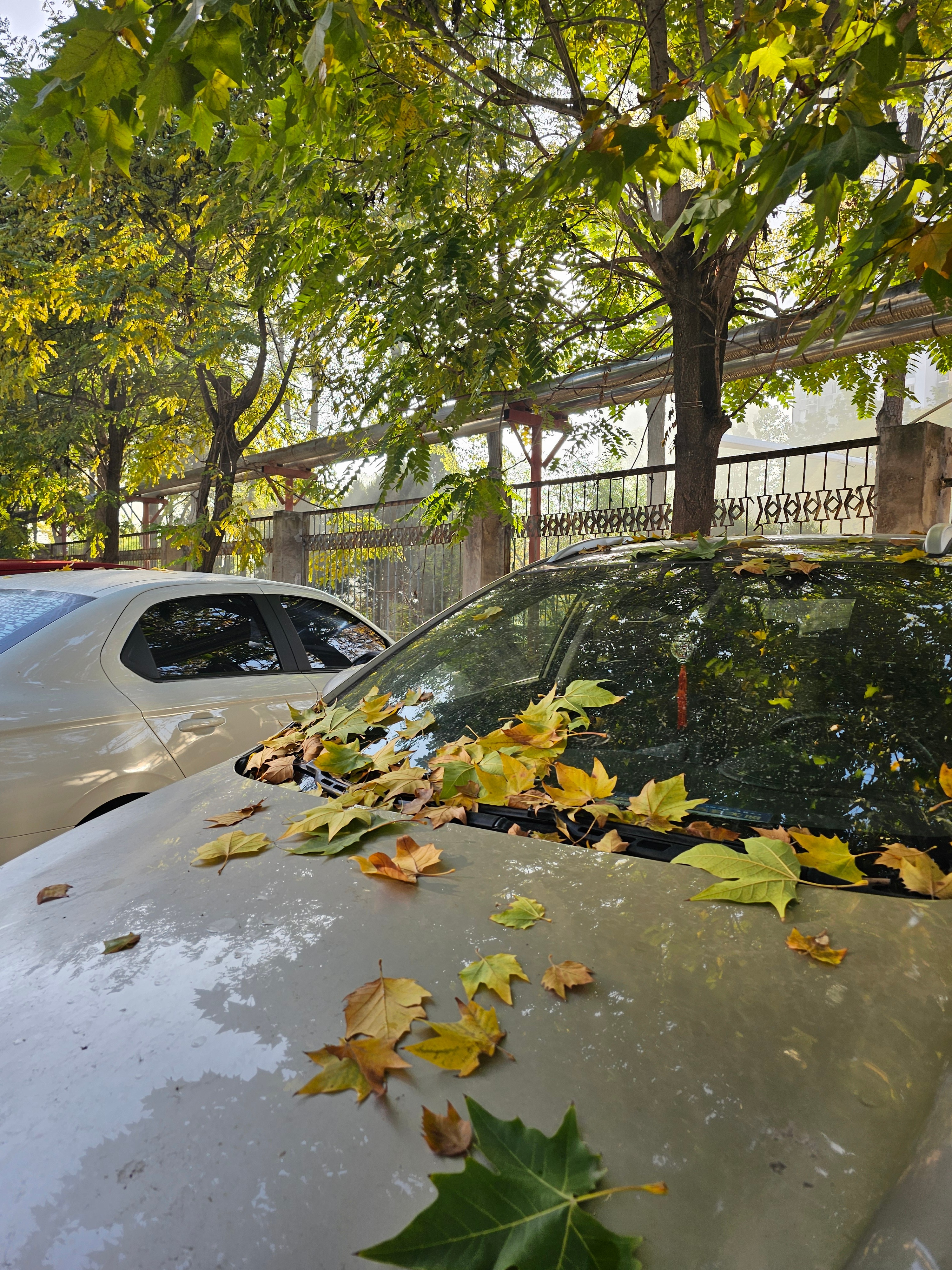 那远山，呼唤你 ​​​