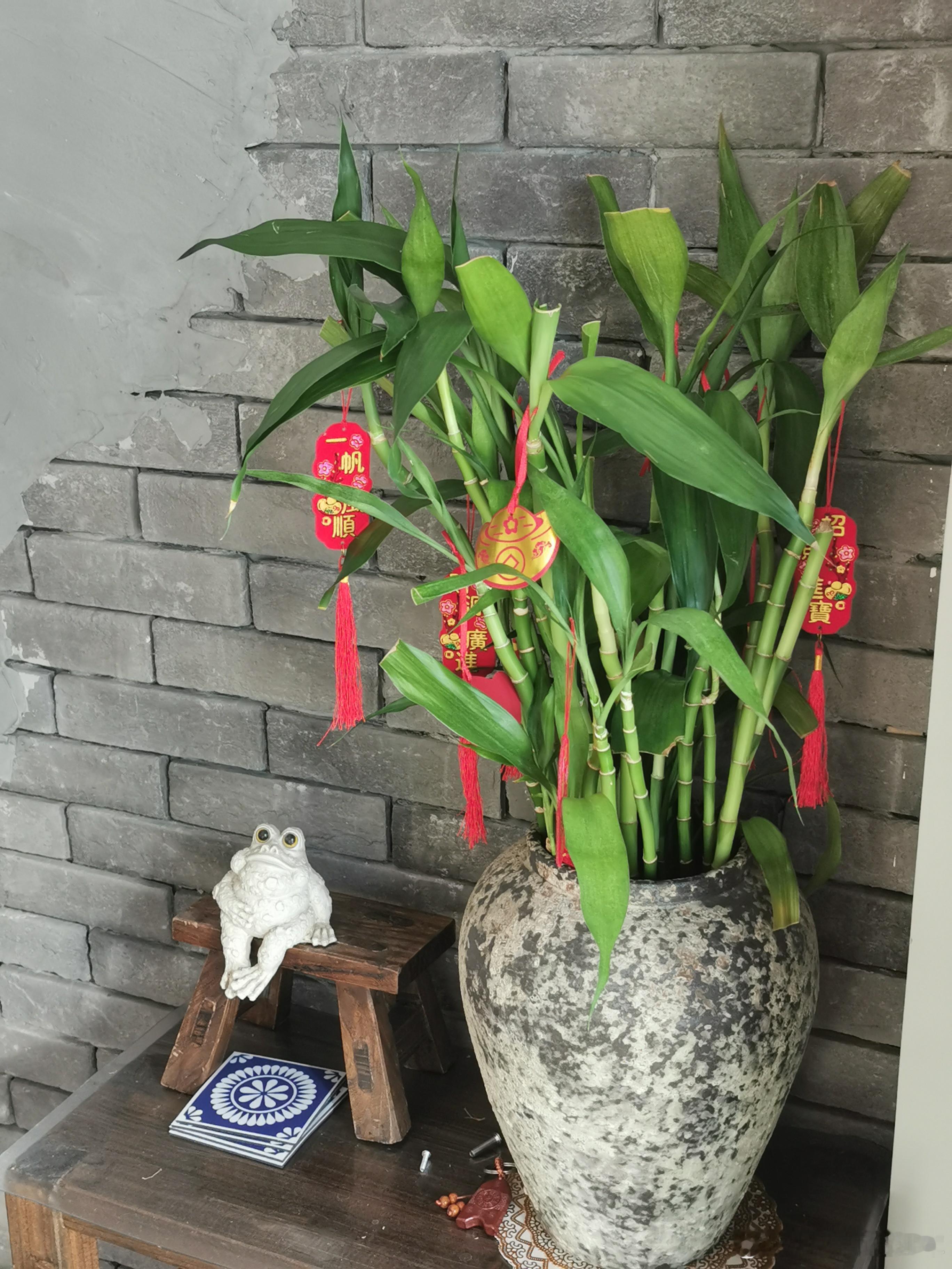 今天来朋友的工作室坐了大半天，工作室装修的漂亮又温馨，是做活动的绝佳场所。线下见