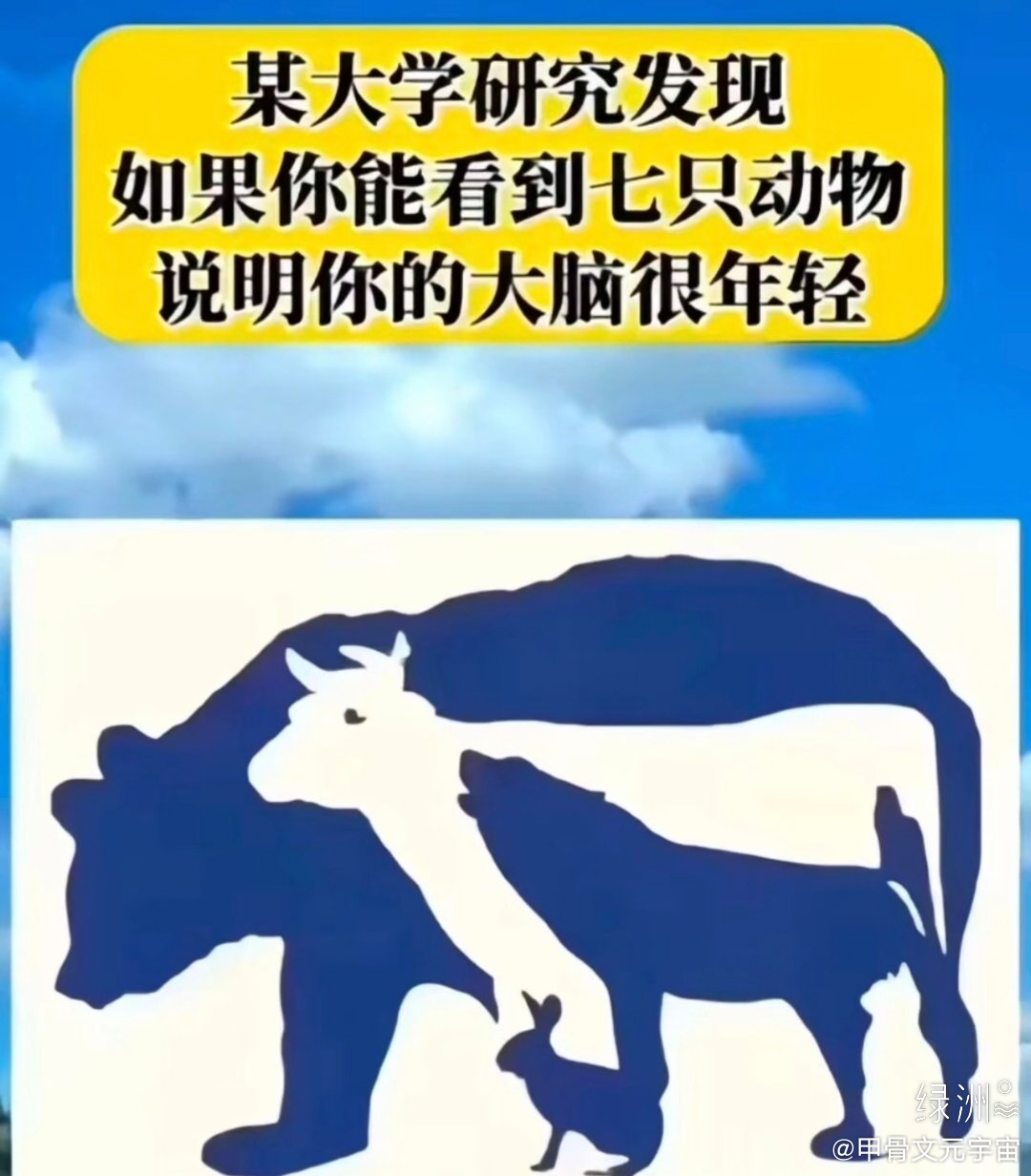 你能看到几只动物？ 绿洲