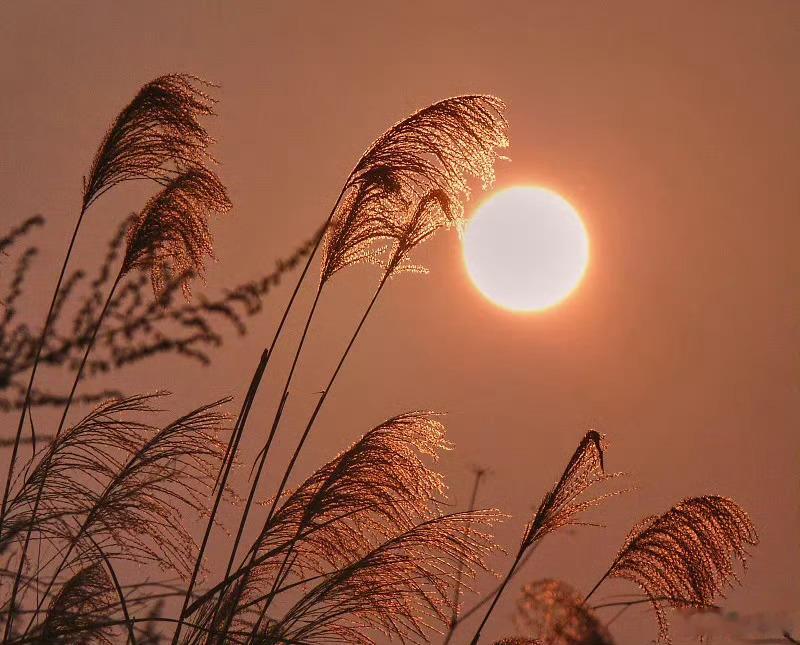 早安早安心语早安,新的一天  早安心语超话  治愈不开心人生感悟人生微语每天说早
