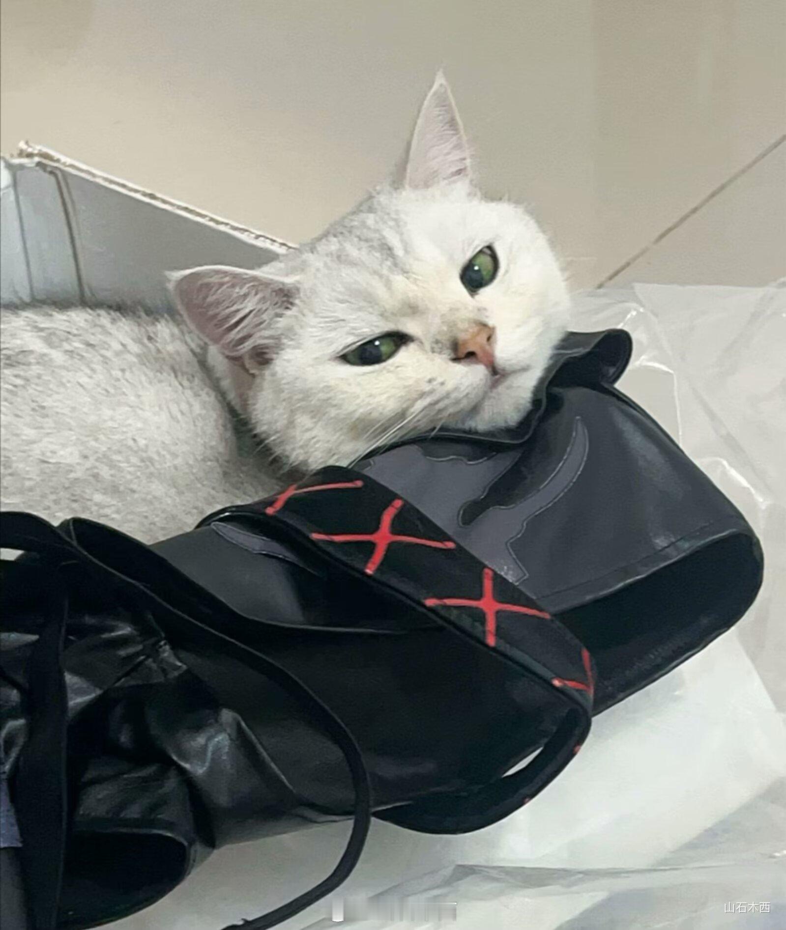 我服了！！！ ​​​