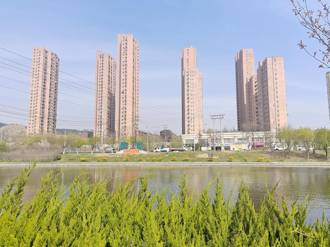 路过随手拍摄绿植