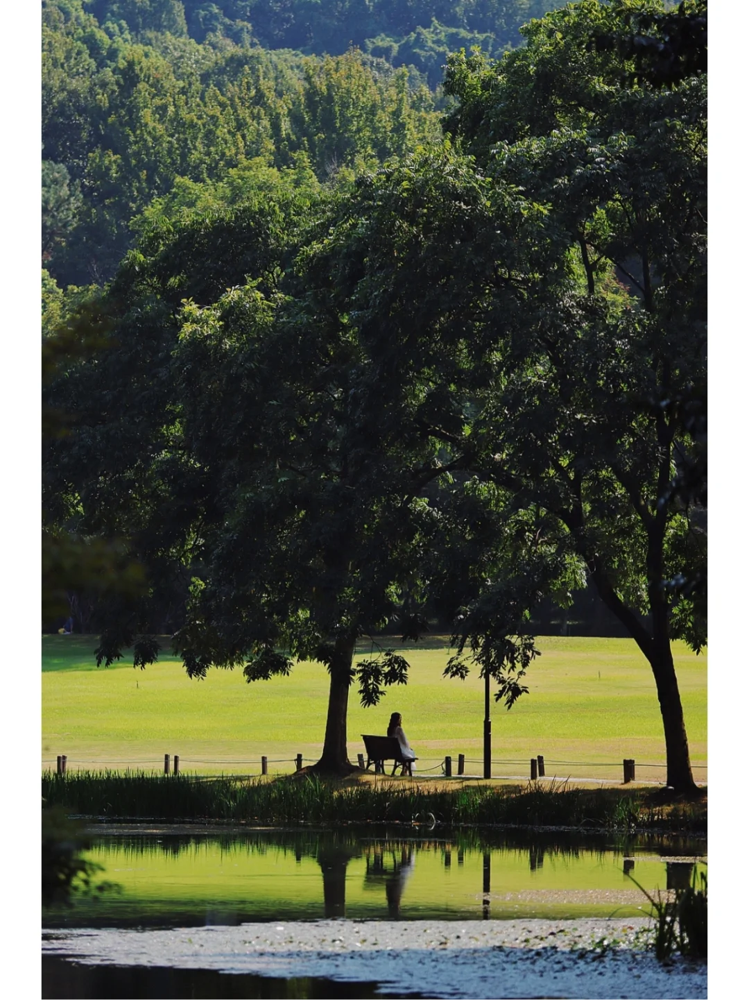 杭州人玩了n次西湖｜告诉你一日游该怎么玩🍃