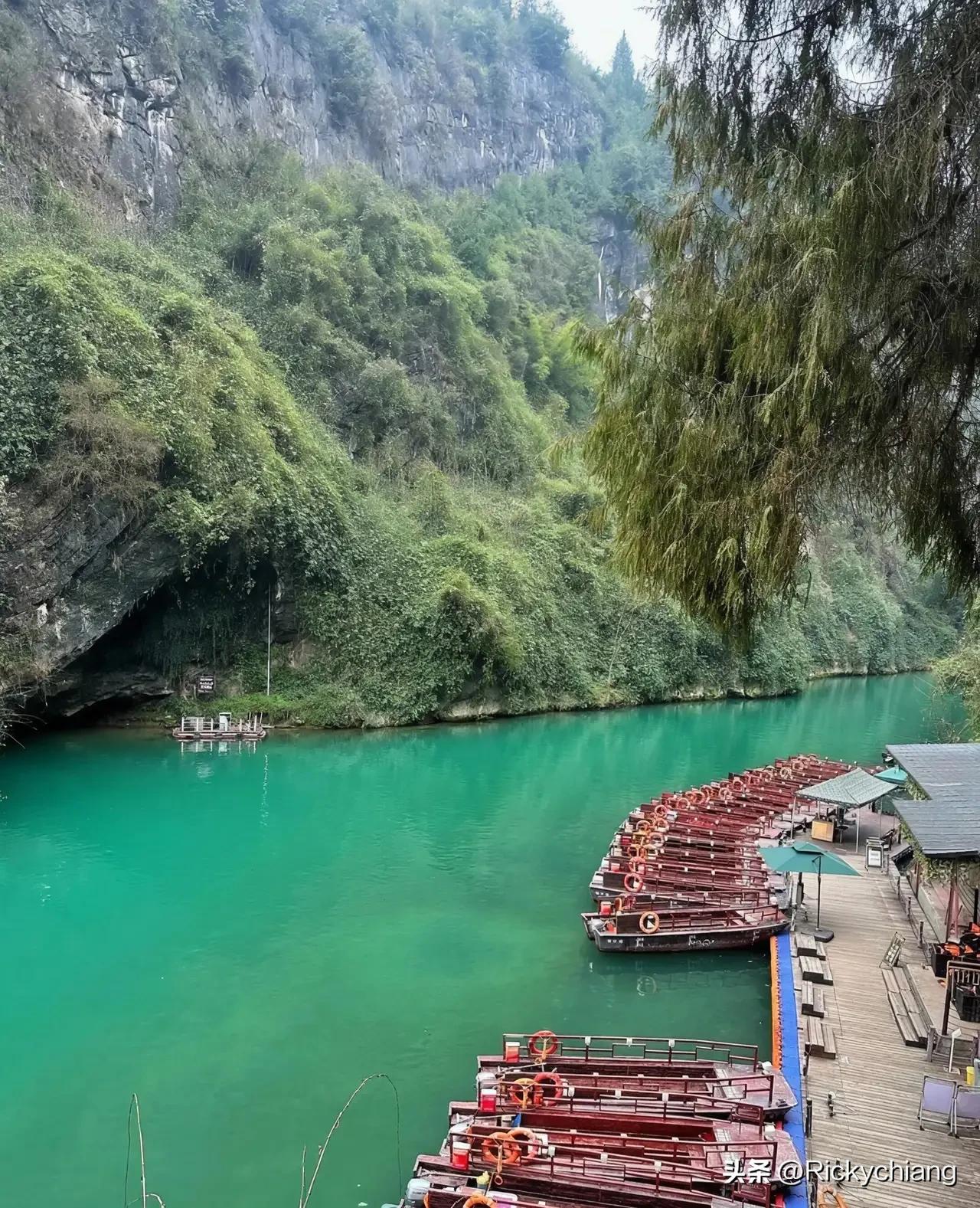 几年前偶然的机会
读到林徽因那句话：
太感性过不了柴米油盐，
太理性过不了风花雪