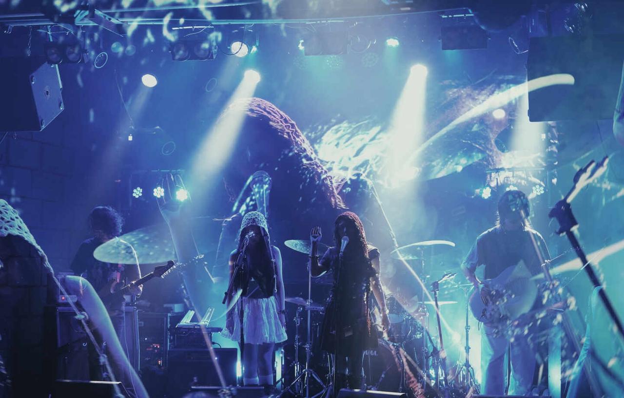 从小酒吧到足球场 上海演出预告8.20-8.30
8.20
VIO-LENCE+