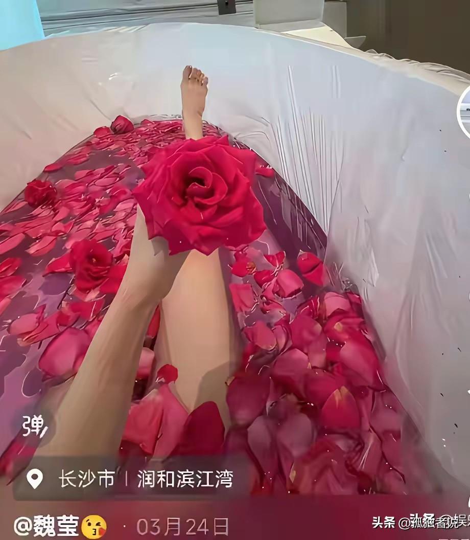 福建女主播魏莹案最大的受益者是平台，最该反思的是要不要取缔一切以收割粉丝为目的的