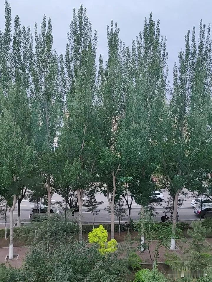 一个老妹腿疼，
走路有点不方便，
互聊了一个老头，
老头说愿意伺候照顾她，
老妹