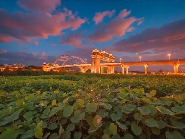 上联:回眸已是夕阳路
下联:转身步入锦绣程