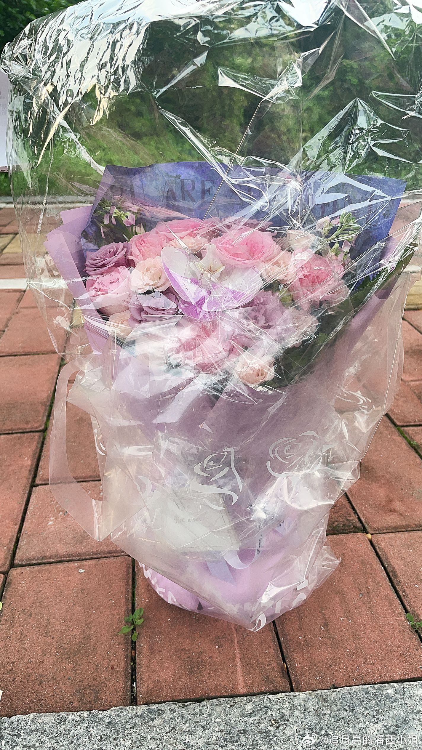 谢谢圆圆宝帮我带了一束花给小椰子。这六年辛苦了，以后一路繁花椰椰特别特别棒，行云