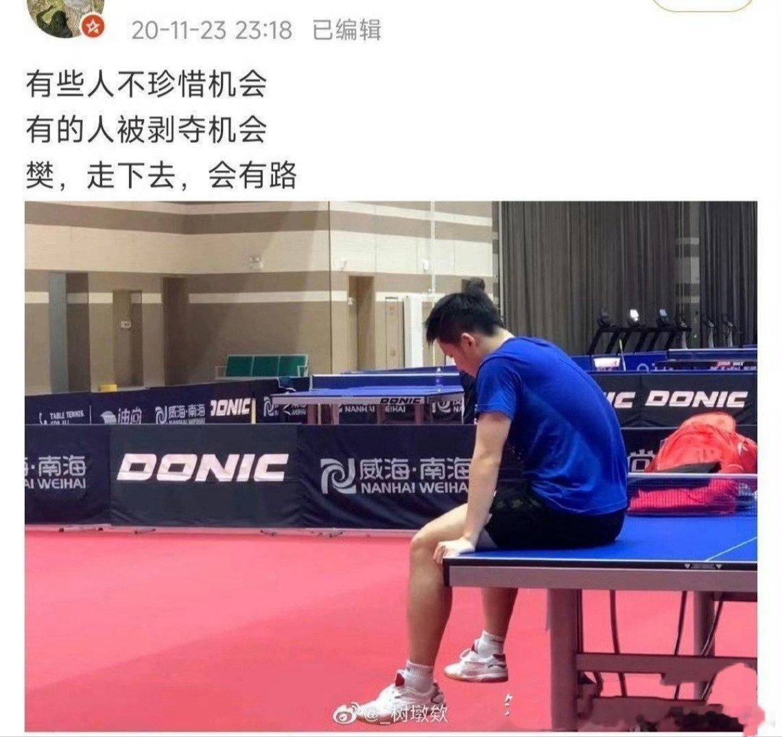 樊振东不该承受输赢都不行的处境只想说，樊振东，别回头，别停留，往前走，自有繁星一