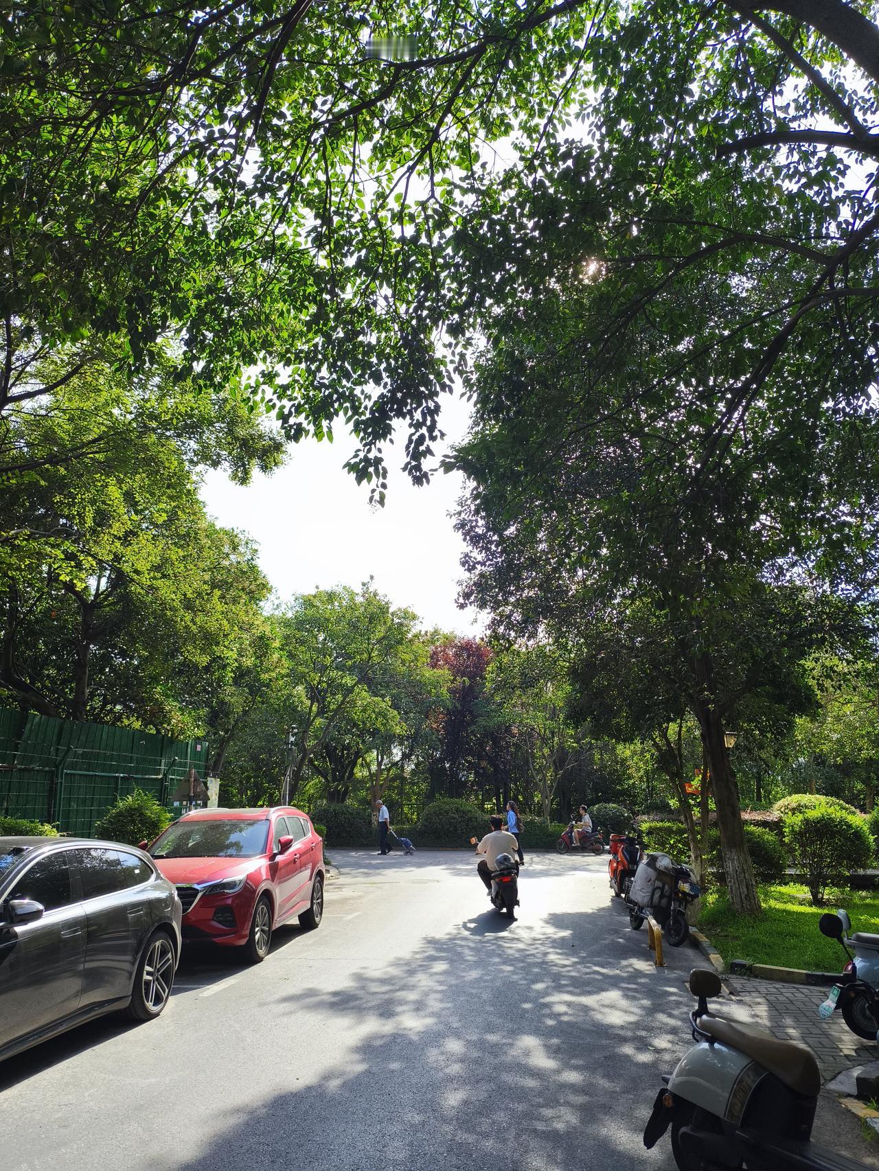 全域焕新向着阳光，万物可期。借一抹晨光，吻一朵金黄。“智赋新质，全域焕新”这理念
