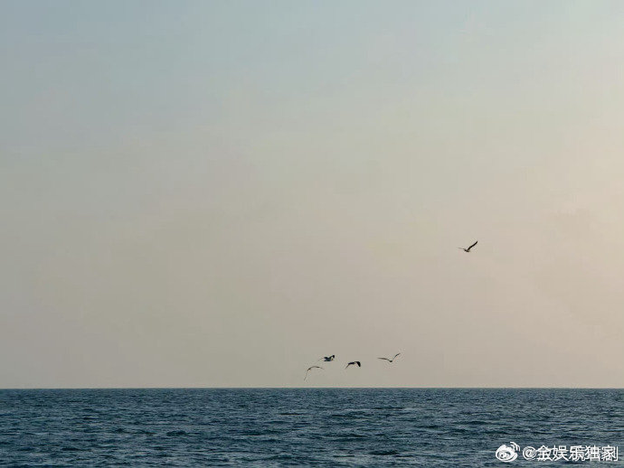 胡一天出海追海豚还是有点晕胡一天晕船了一边扛着晕船追海豚，一边保持帅气颜值，胡一