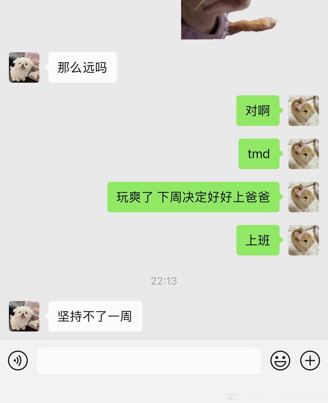 [祈祷][祈祷]坚持一周 下周干沈阳 ​​​