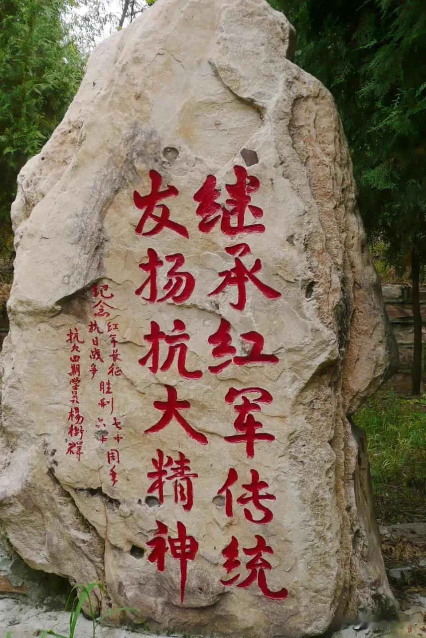 居心不良的人抹黑五十年前的教育，那些人掩盖不了真正的教育需要的是什么？对五鼠六害