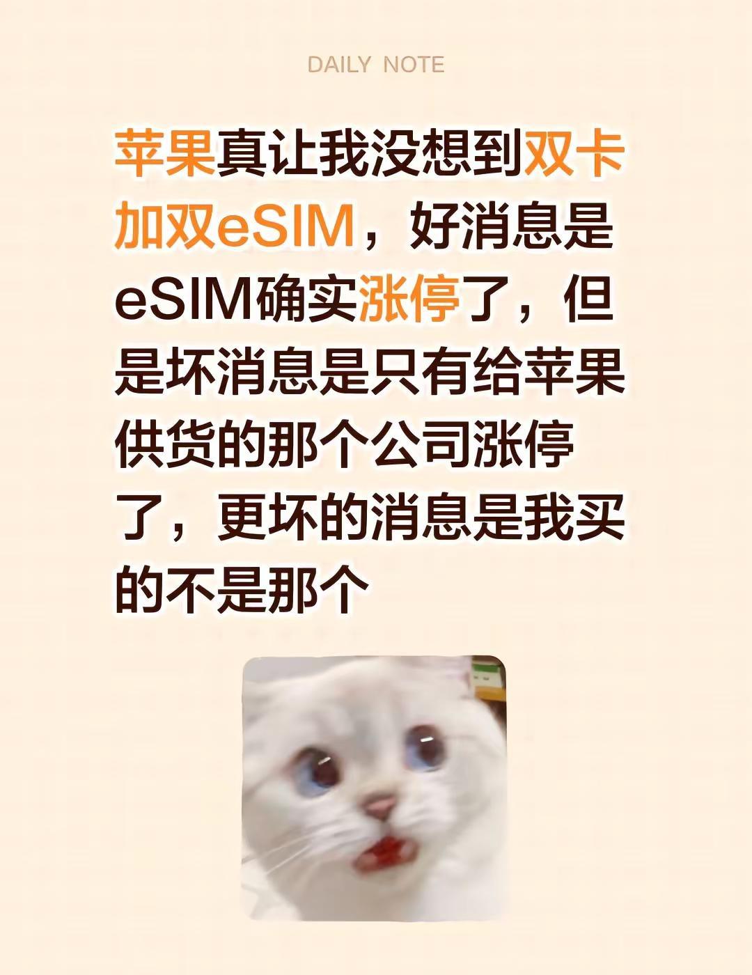 苹果真让我没想到双卡加双eSIM，好消息是eSIM确实涨停了，但是坏消息是只有给