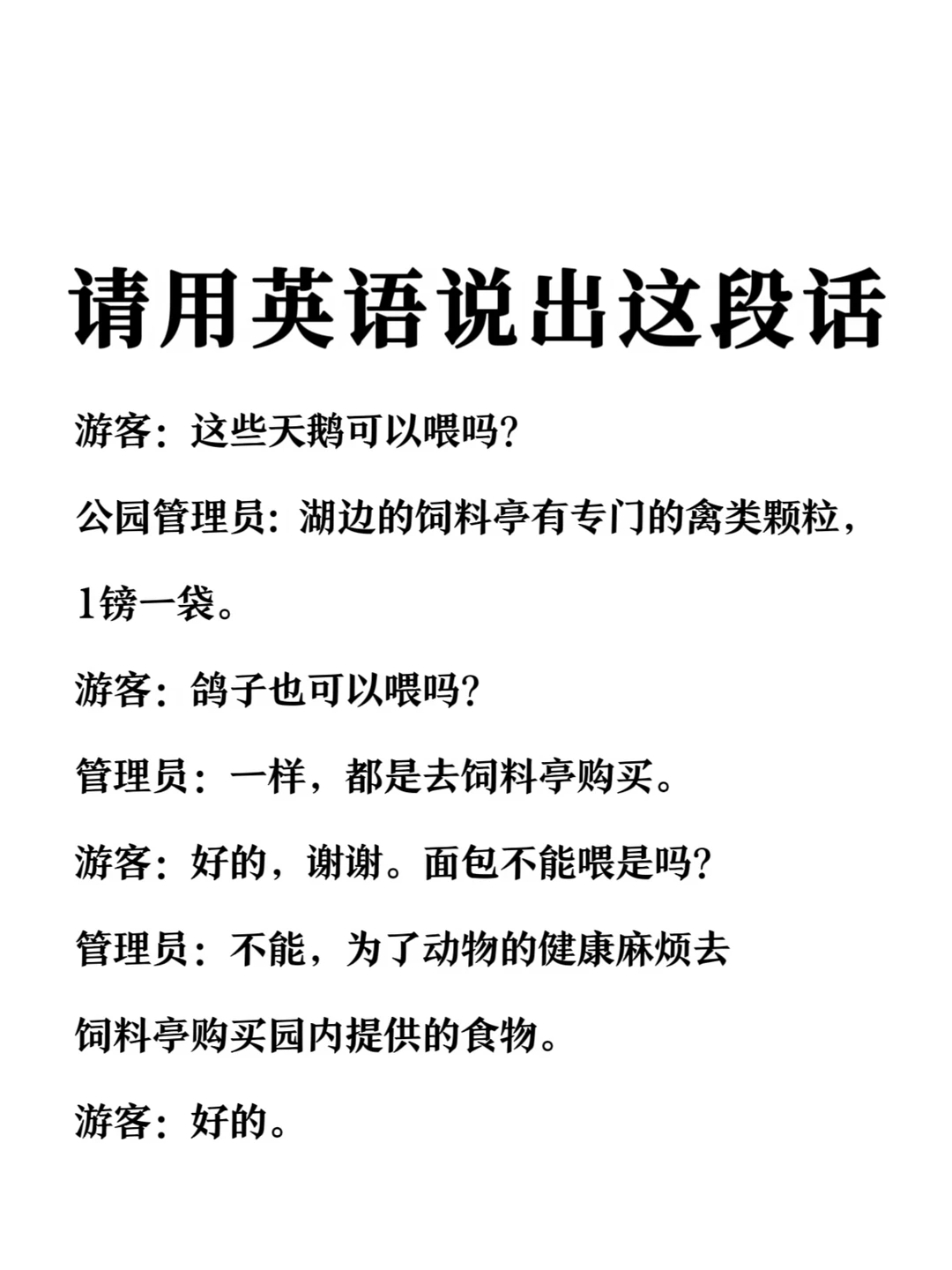 请用英语说出这段话-园区投喂动物场景