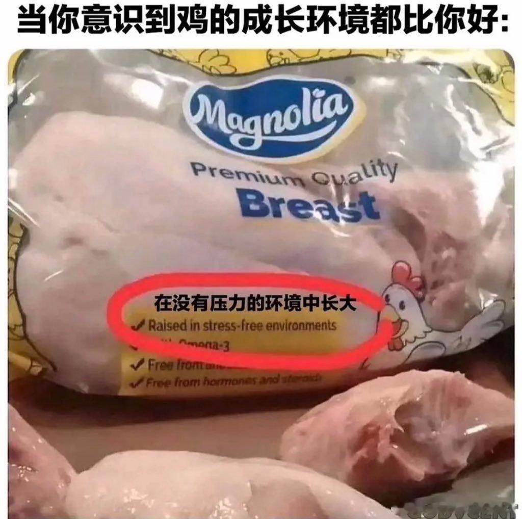 鸡的成长环境都比你好： ​​​