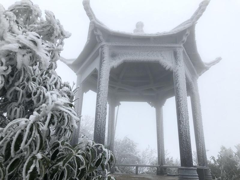 雪真的太有魅力啦！它就像神奇的画师，把普通的场景变成童话世界；又似镜子，映照出大