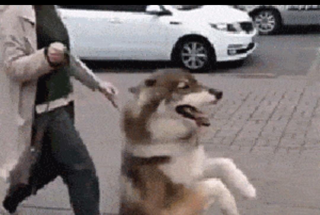 搞事的世界观价值观，决定了她回不了头。她搬出《旧金山和约》说事，决不是无知，而是