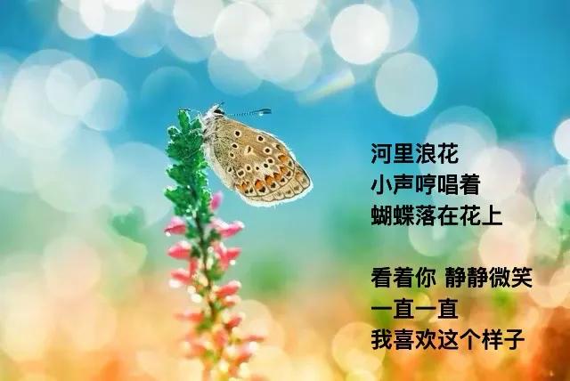 时间推移
有没有 某种激活液
让心不老
．
且放下这些设想
先给你一缕
早上明媚