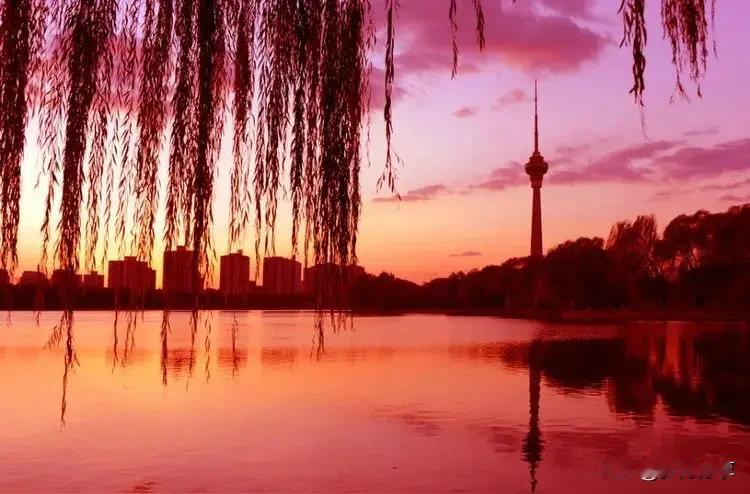 有农民做了一个梦，梦见所有的村庄都是集体化道路。流动打工这种形式照样存在，但都是