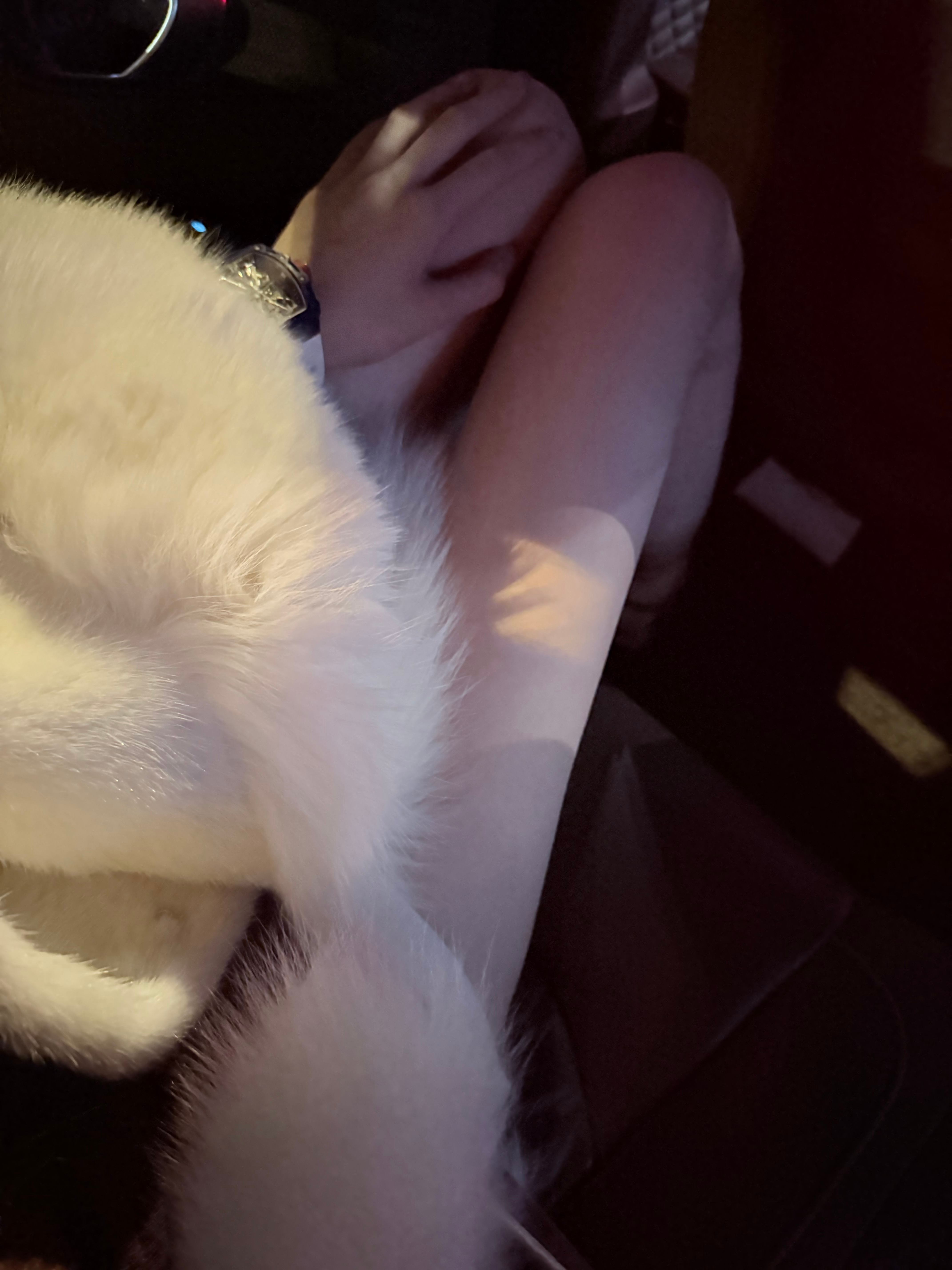 出门玩 被自己白的吓一跳再也不说内服没用了 我是内服受益者 