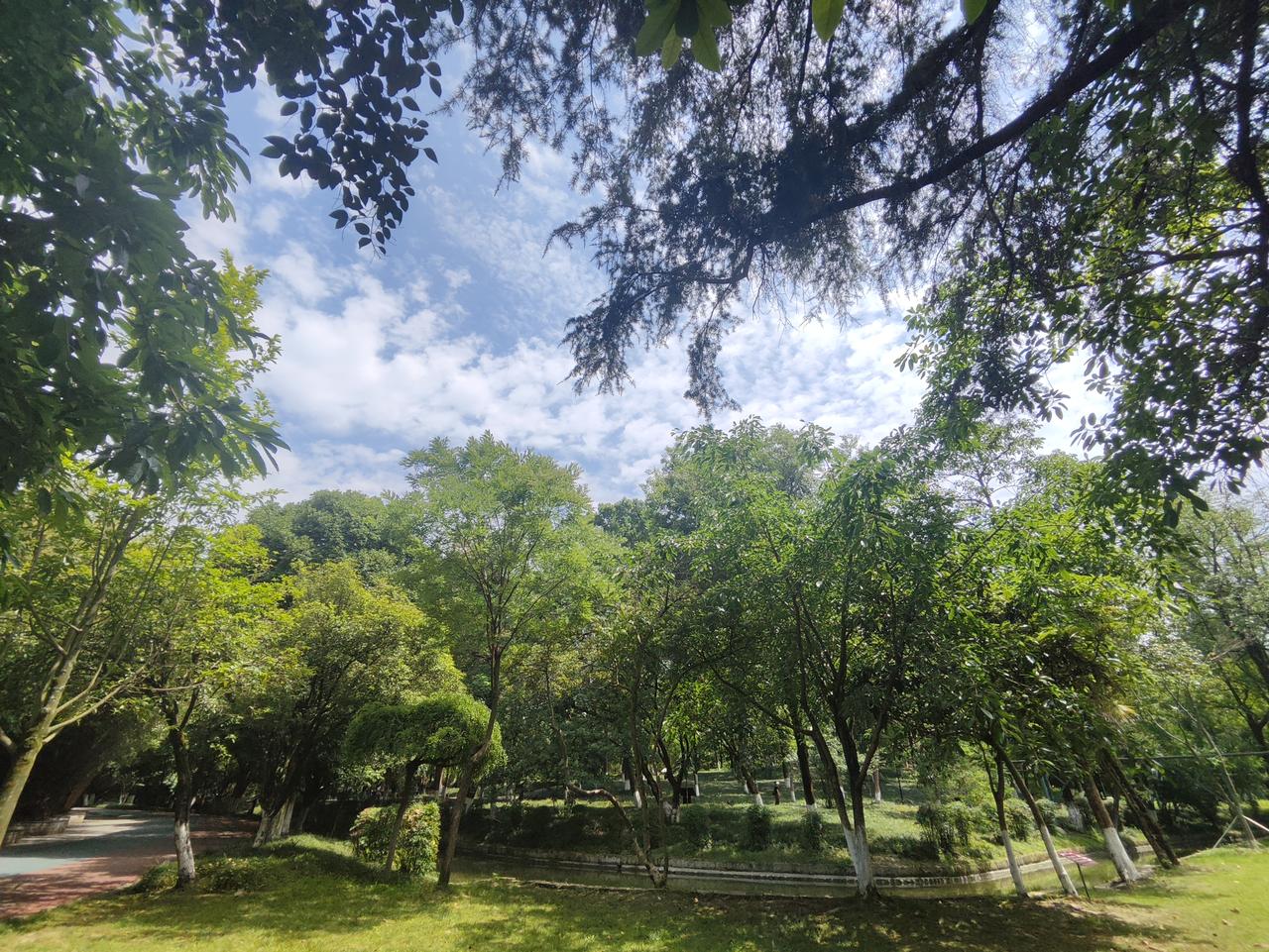 闲来喝茶闲谈，走过半生方才醒悟。

年轻时候总想争输赢、比高低，格外在意旁人的评
