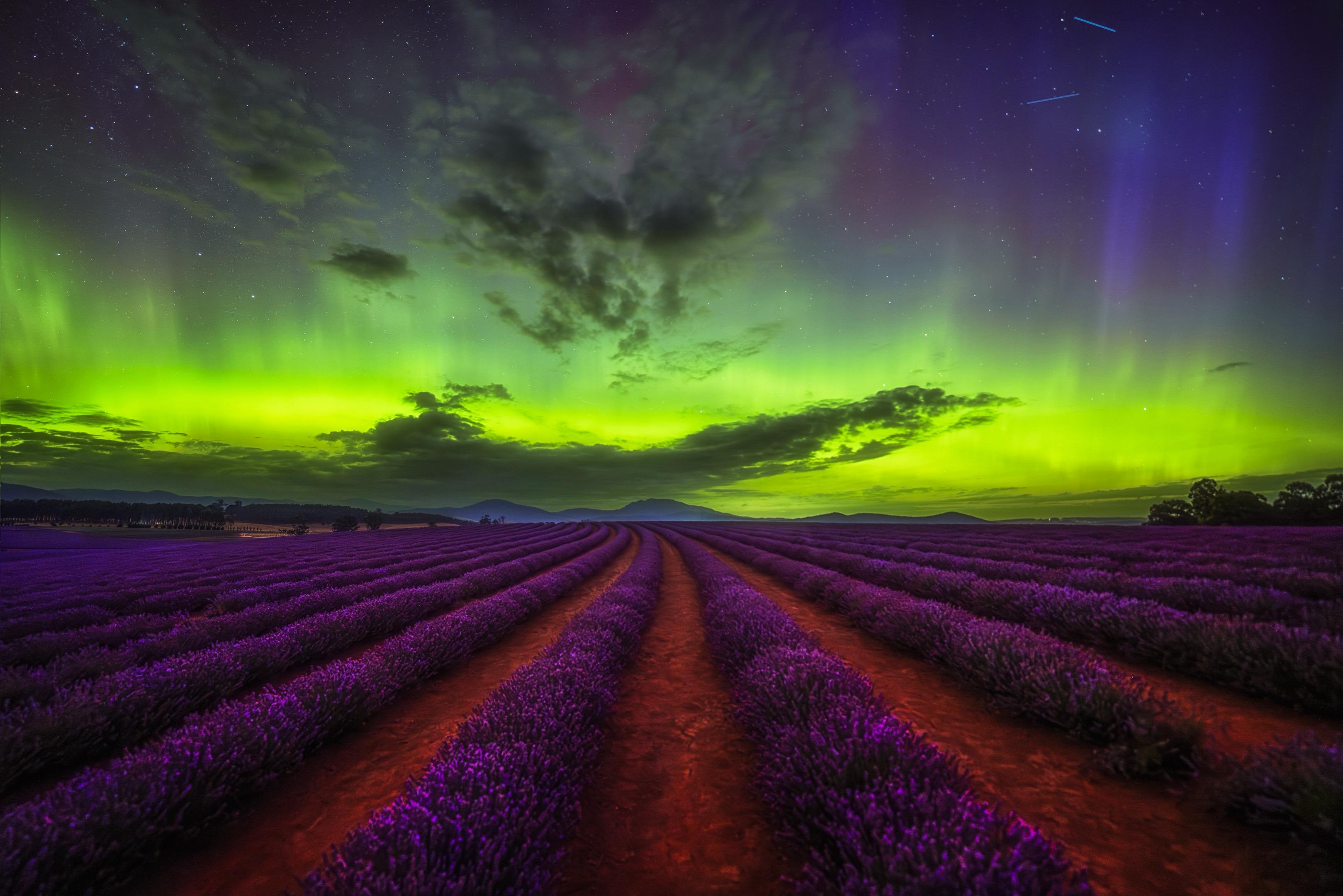 为了拍到这张薰衣草星空极光，我等了7年。来塔州的时候就一直想拍的薰衣草...